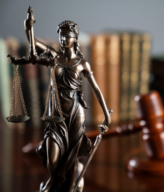 Duck Law Firm project interface